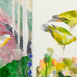Green Pigeons By Judy Holding, 200 X 640 Mm, Watercolour/collage On Paper, 2013
