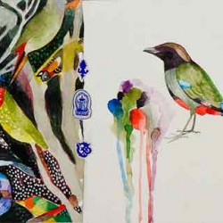 Hooded Pitta By Judy Holding, 200 X 640 Mm, Watercolour/collage On Paper, 2013