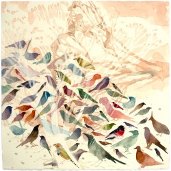 Mallee Birds, 380 X 380 Mm, Watercolour On Paper, 2013