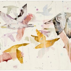 Snow Geese, 220 X 570 Mm, Watercolour On Paper, 2012